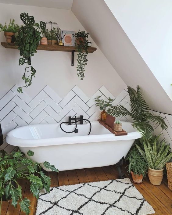 cozy bathroom with plants