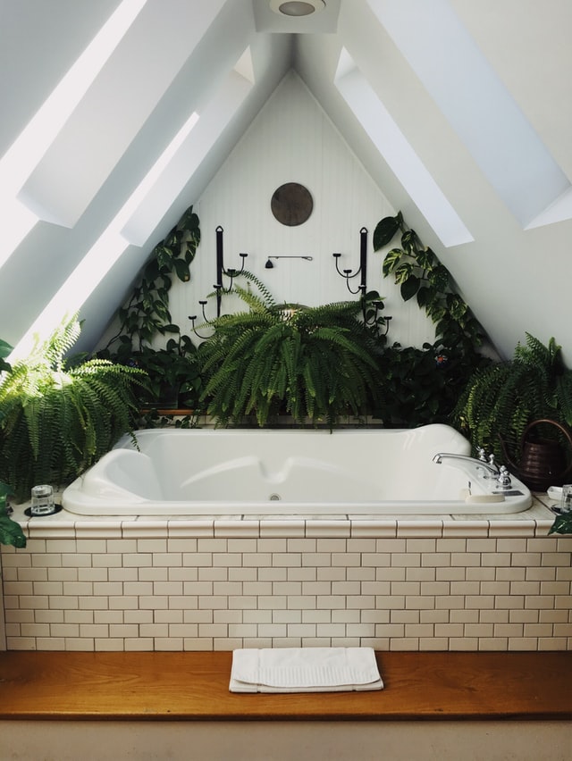 bathtub nook with plants